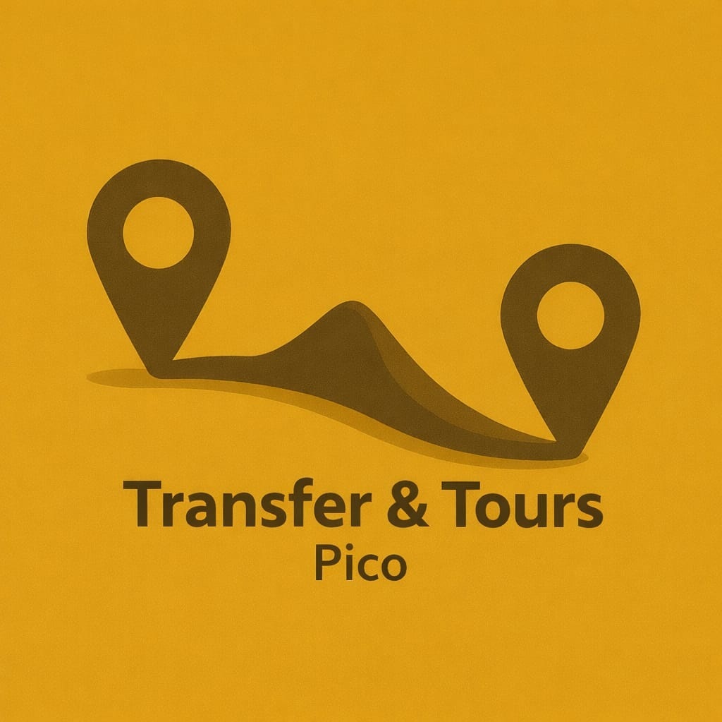 transferpico.com